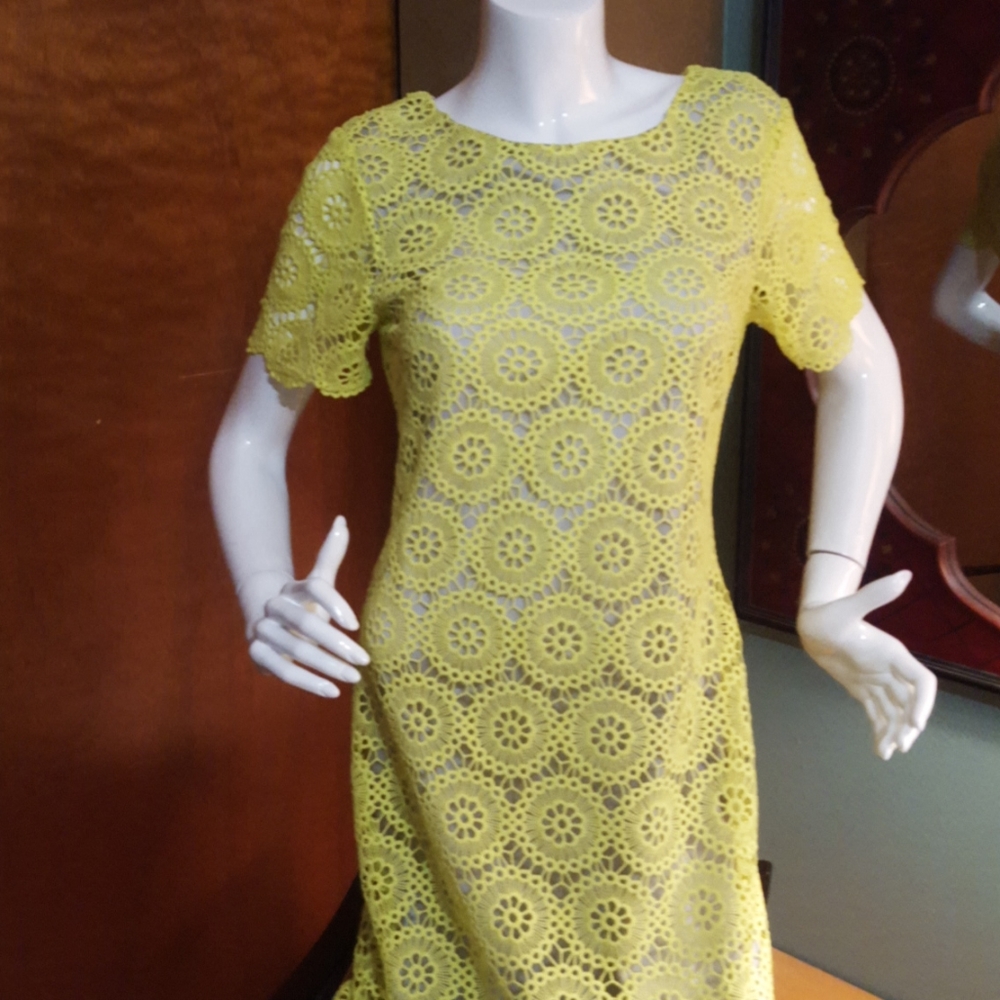 Lucy paris neon lace